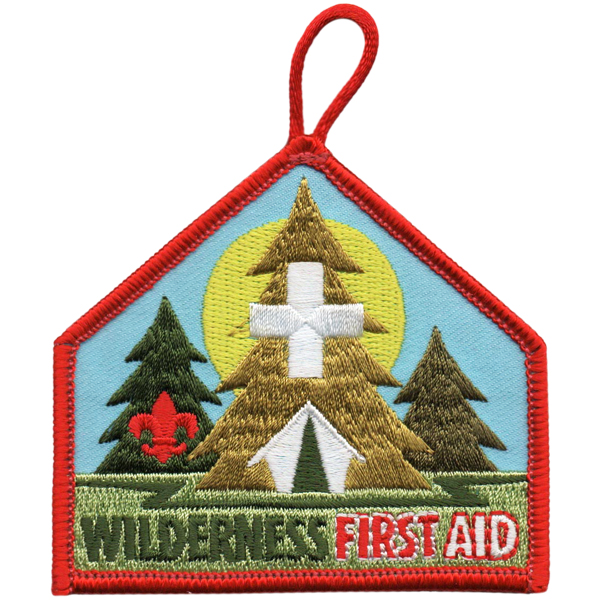 Disaster + Wilderness First Aid PATCH - $3.00 : Zen Cart!, The Art