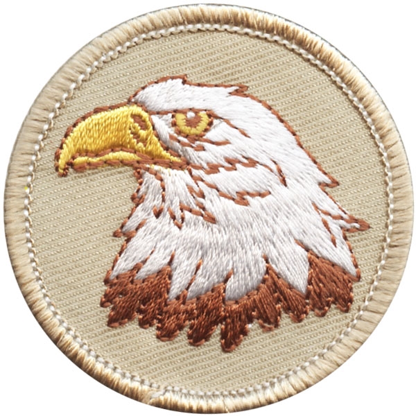 Great Boy Scout Patrol Patch! #773 The Game Controller Patrol 