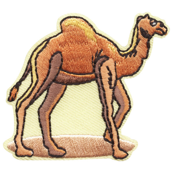 Camel